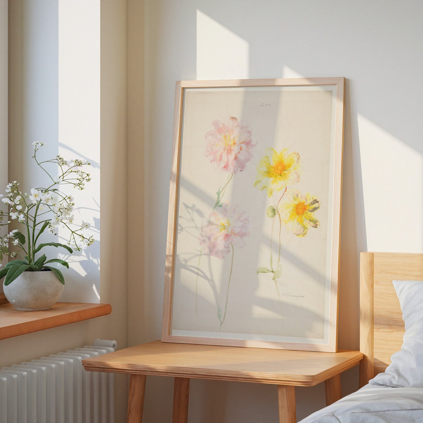 Study of Dahlias