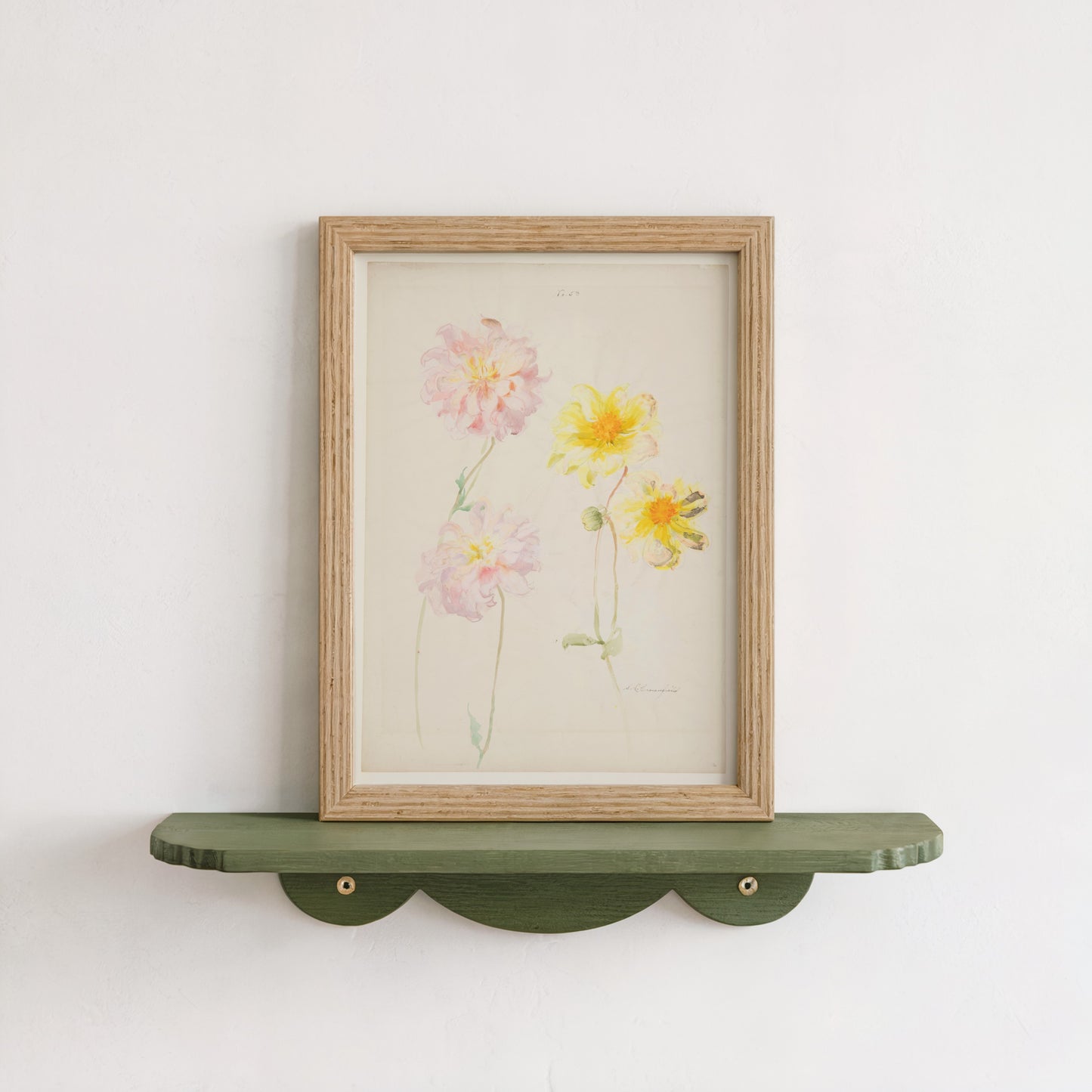 Study of Dahlias