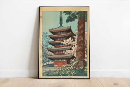 Spring at Daigoji Temple