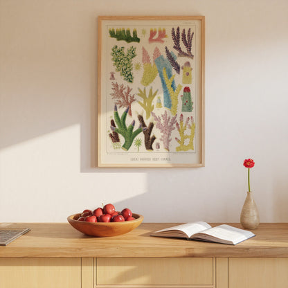 Great Barrier Reef Corals