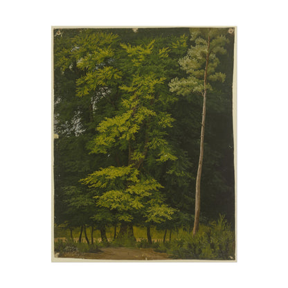 Vibrant green forest scene with detailed trees and foliage.