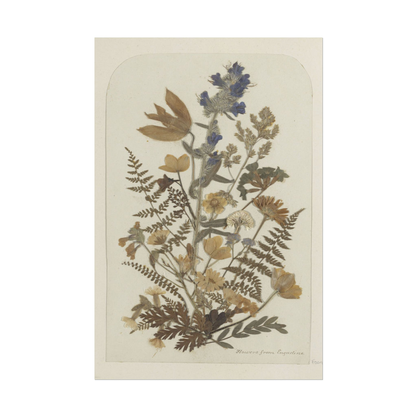 Pressed Flower Art Print 12″×18″