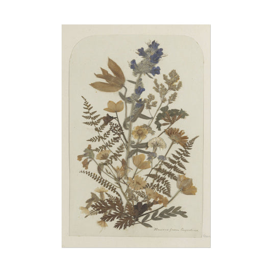 Pressed Flower Art Print