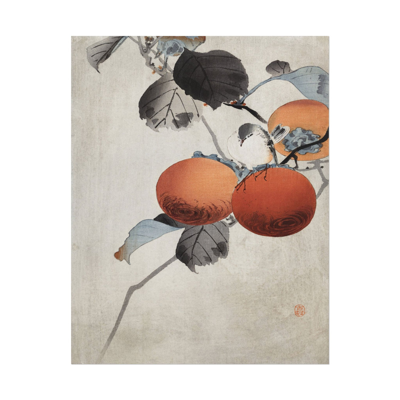 Nuthatcher atop Persimmons 11″×14″