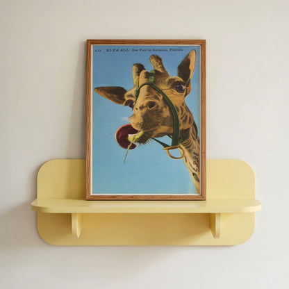 Vintage Giraffe Postcard
