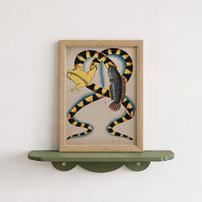 Two Watersnakes Swallowing Fish & Frog