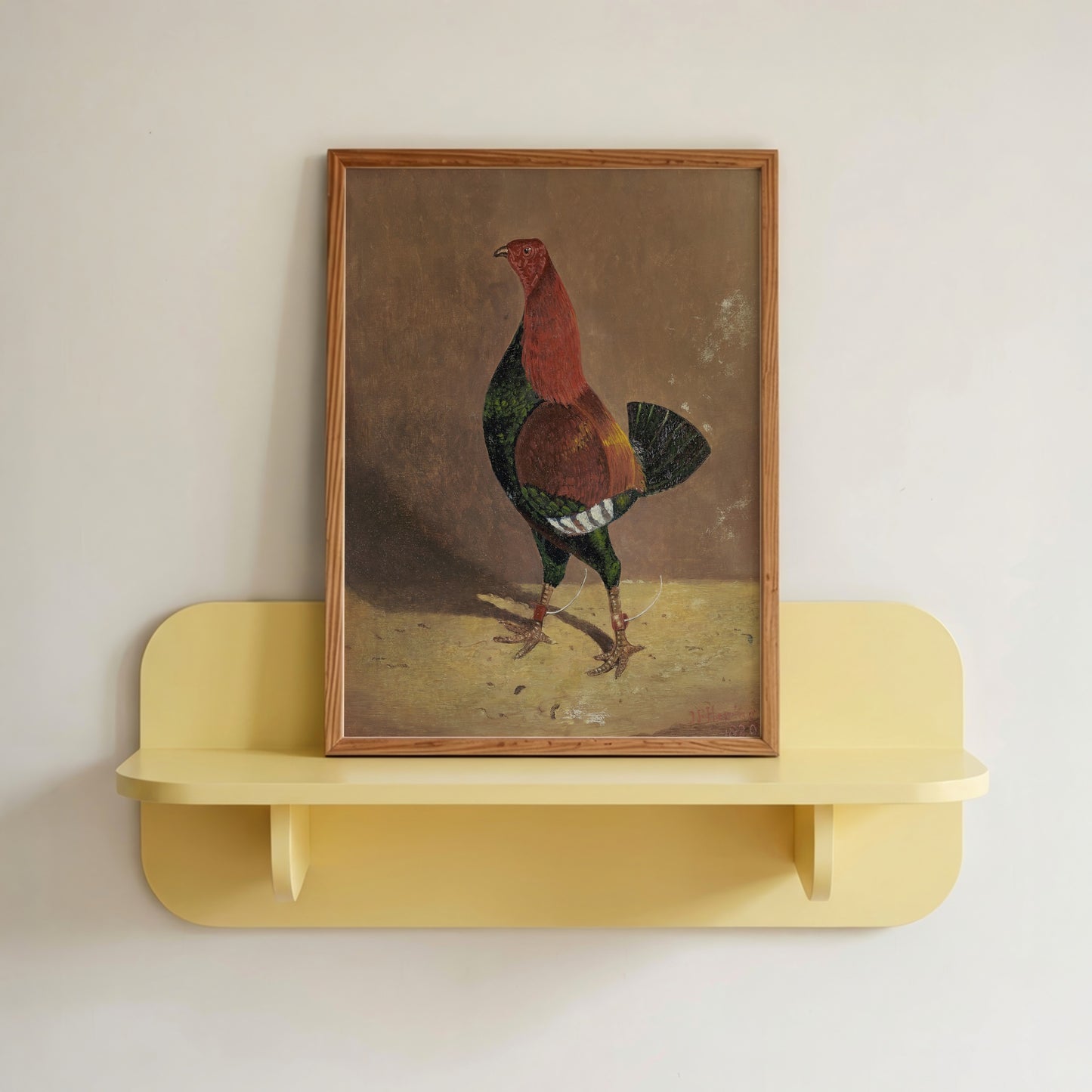 Fighting Cocks
