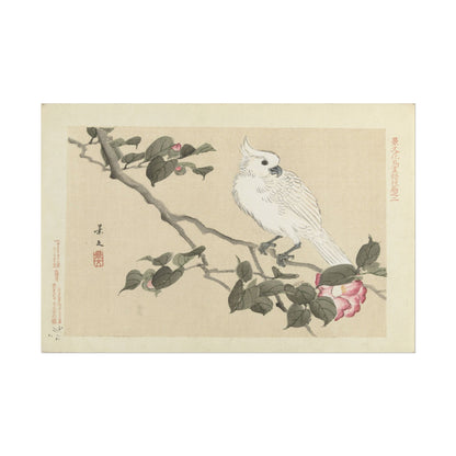 Elegant White Bird Art Print