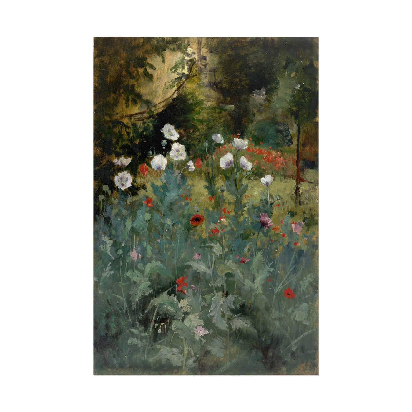 Poppies 12″×18″