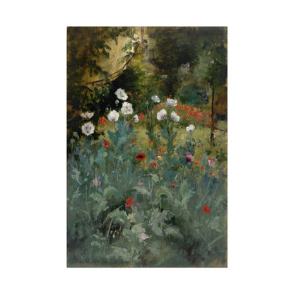 Poppies