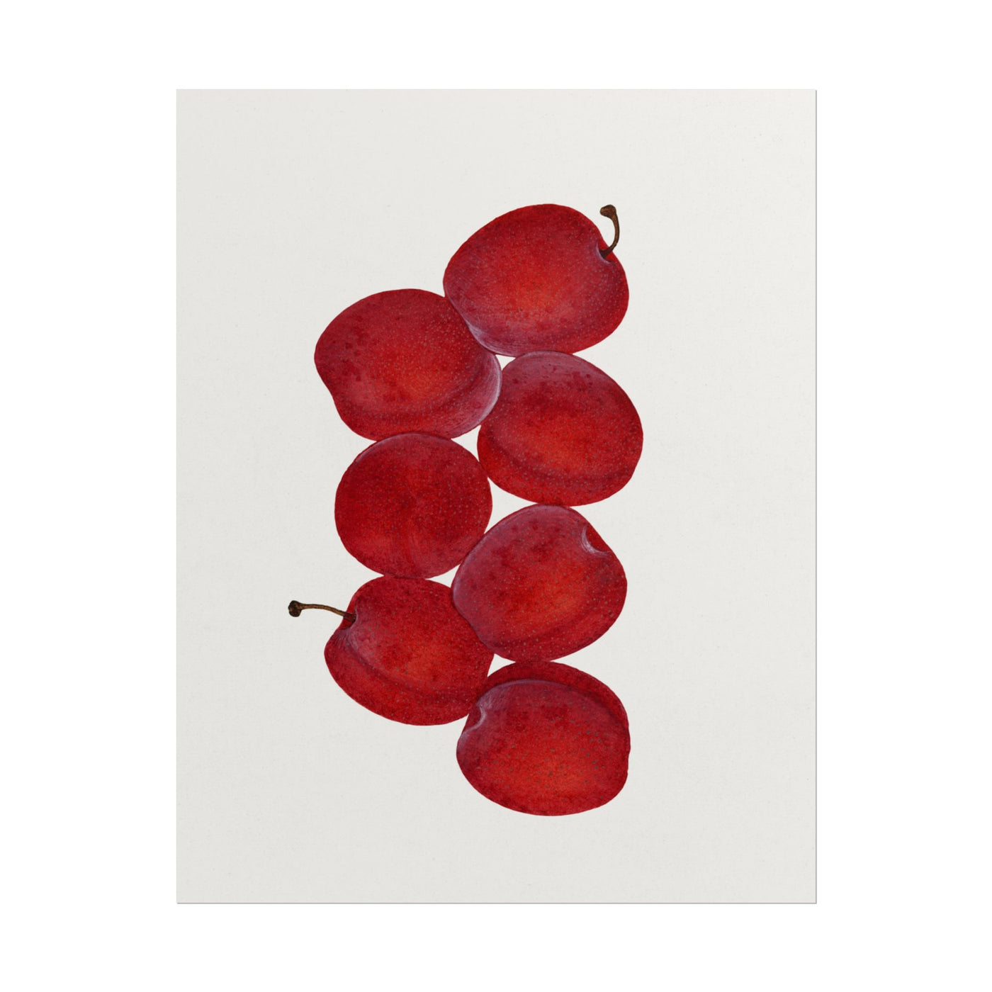 Red Plums 11″×14″