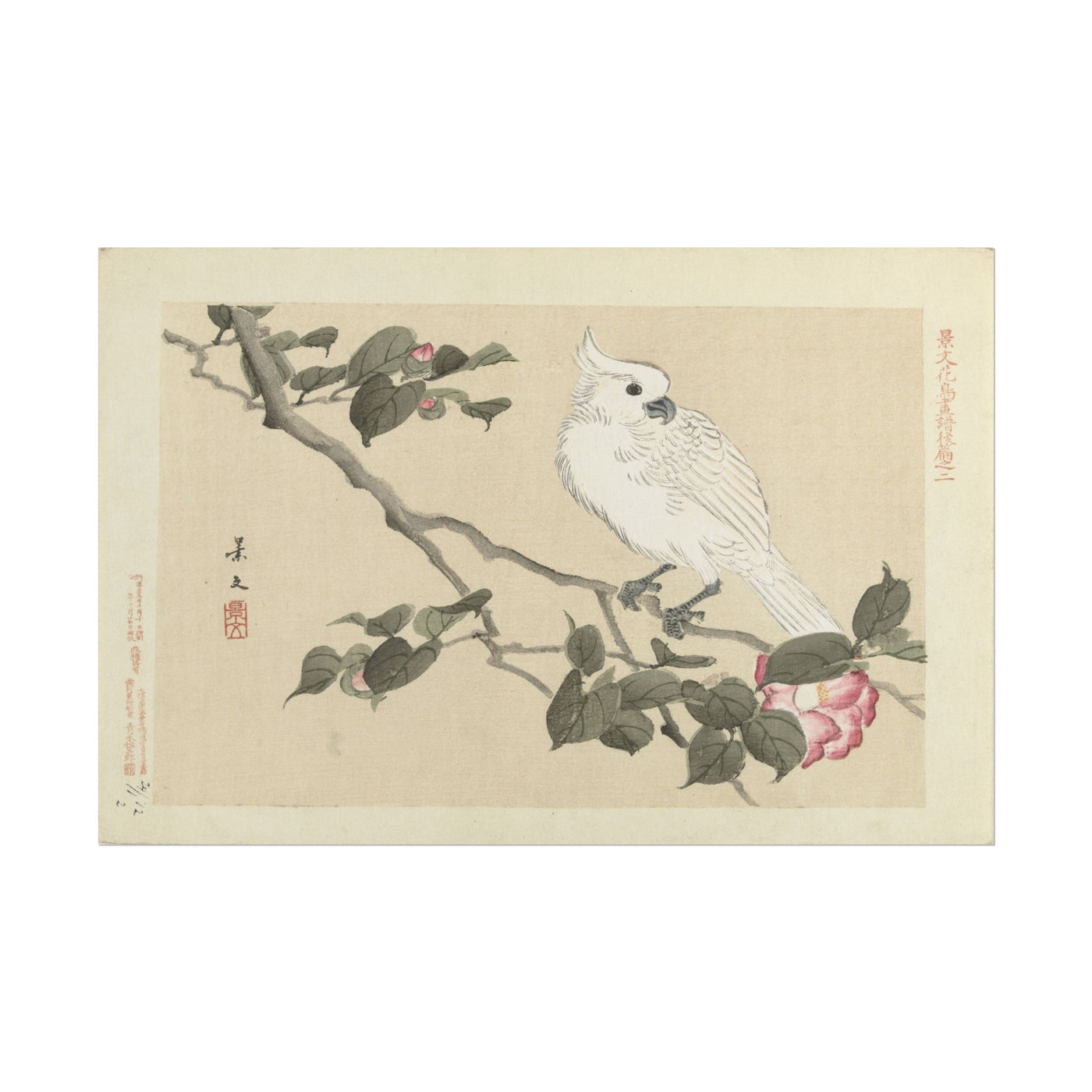 Elegant White Bird Art Print 18″×12″