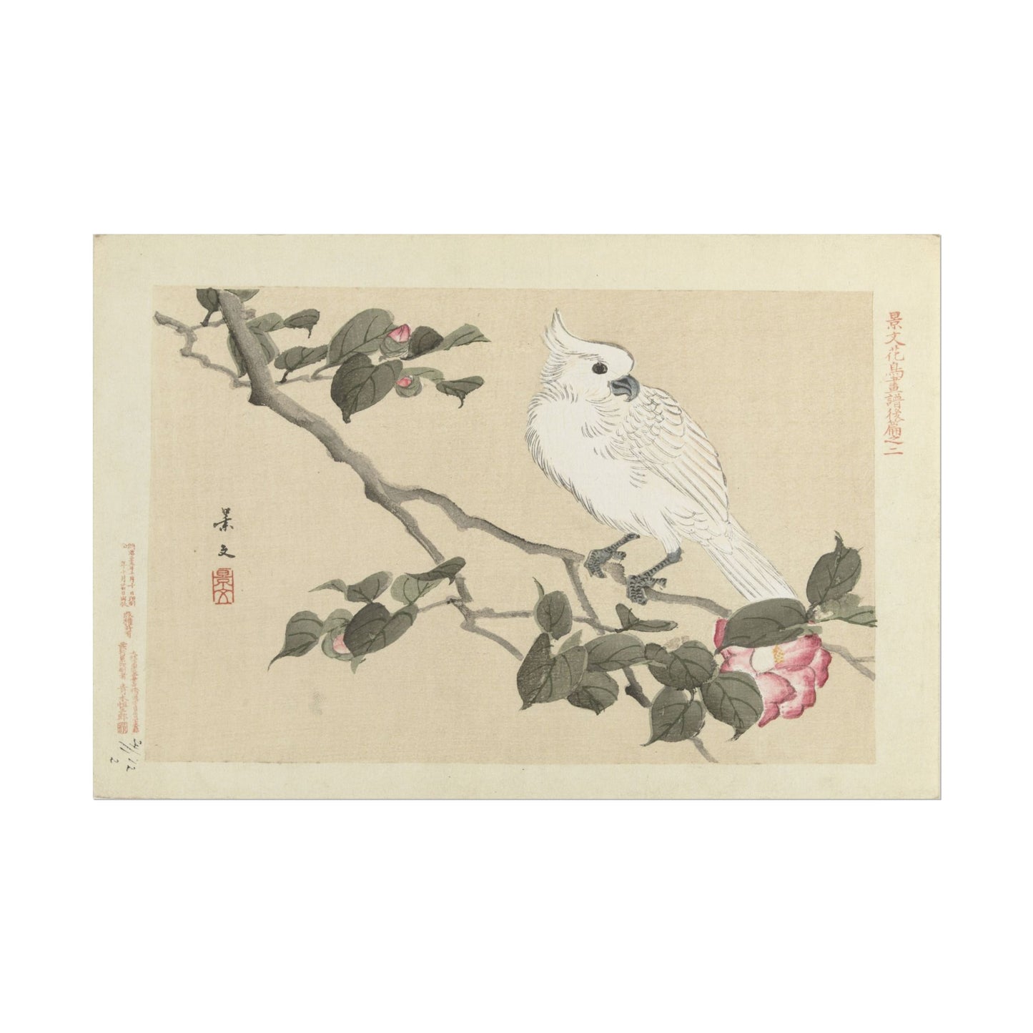 Elegant White Bird Art Print