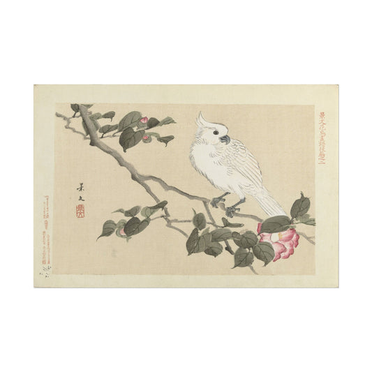 Elegant White Bird Art Print