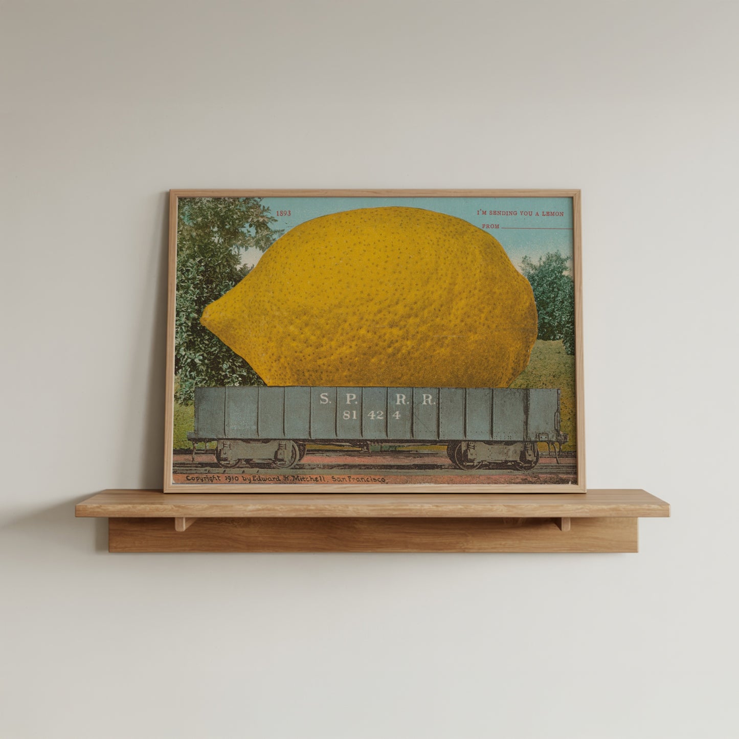 Lemon Postcard