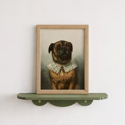 Uncle Toby Dog