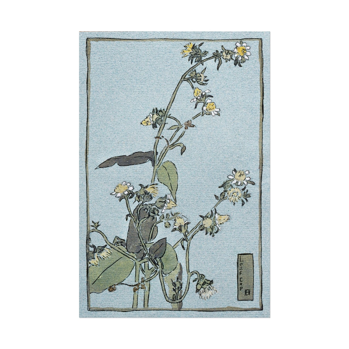 Botanical art print featuring delicate flowers and leaves on blue background.