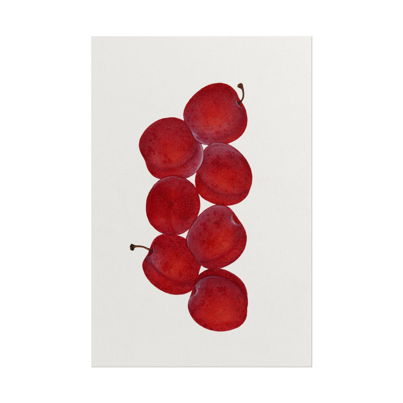 Red Plums 12″×18″