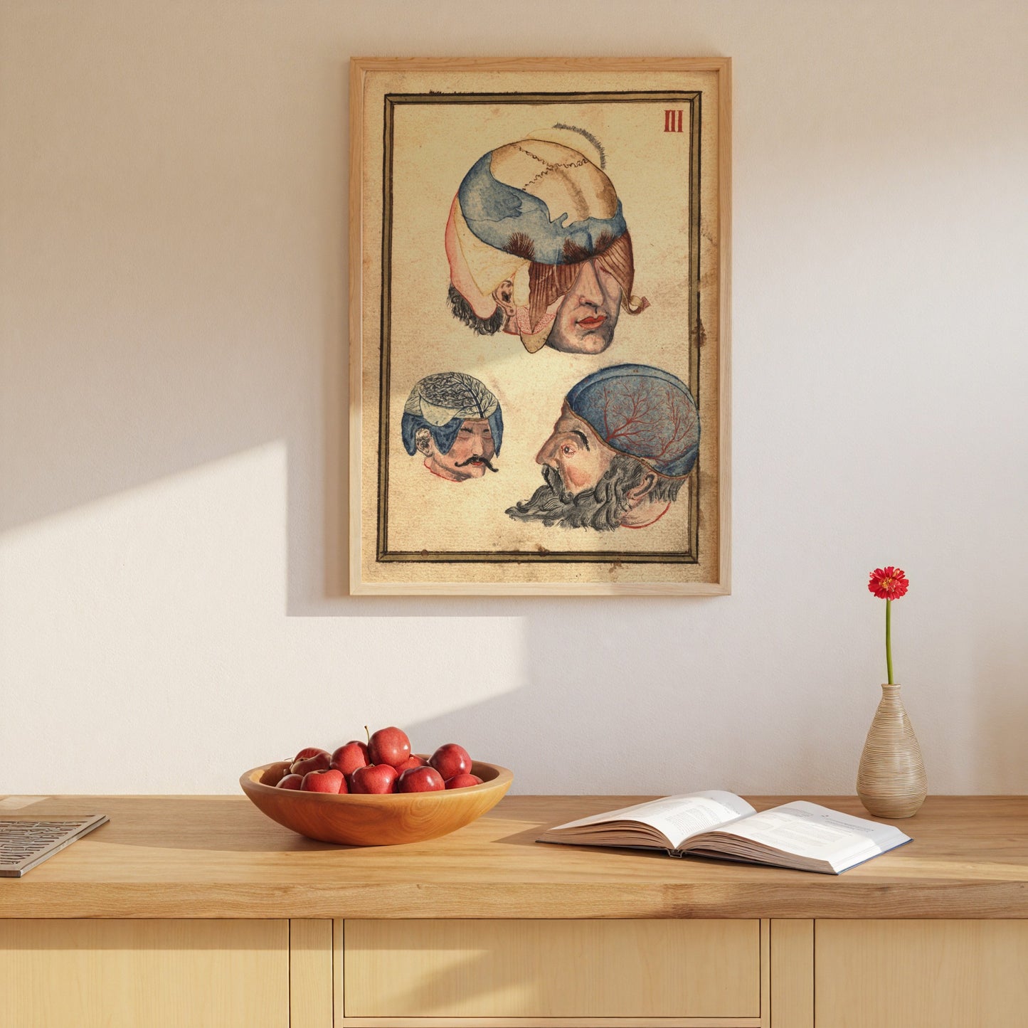 Three Heads Anatomical