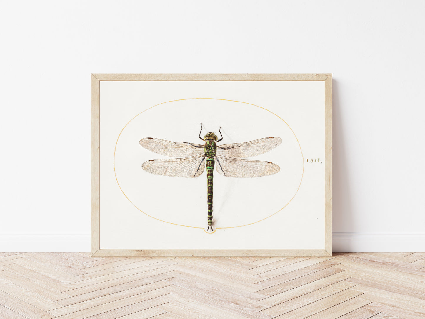 Dragonfly