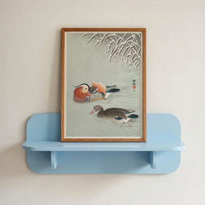 Mandarin Ducks