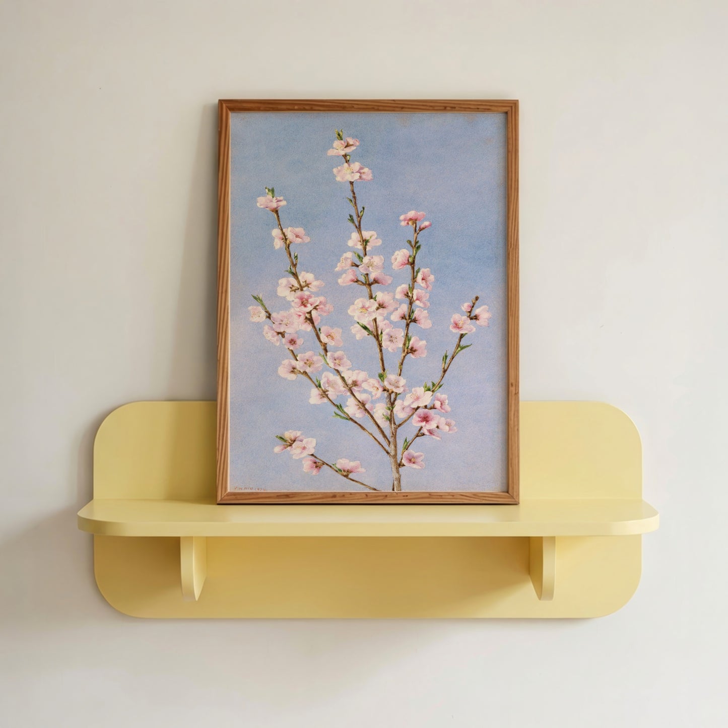 Peach Blossoms