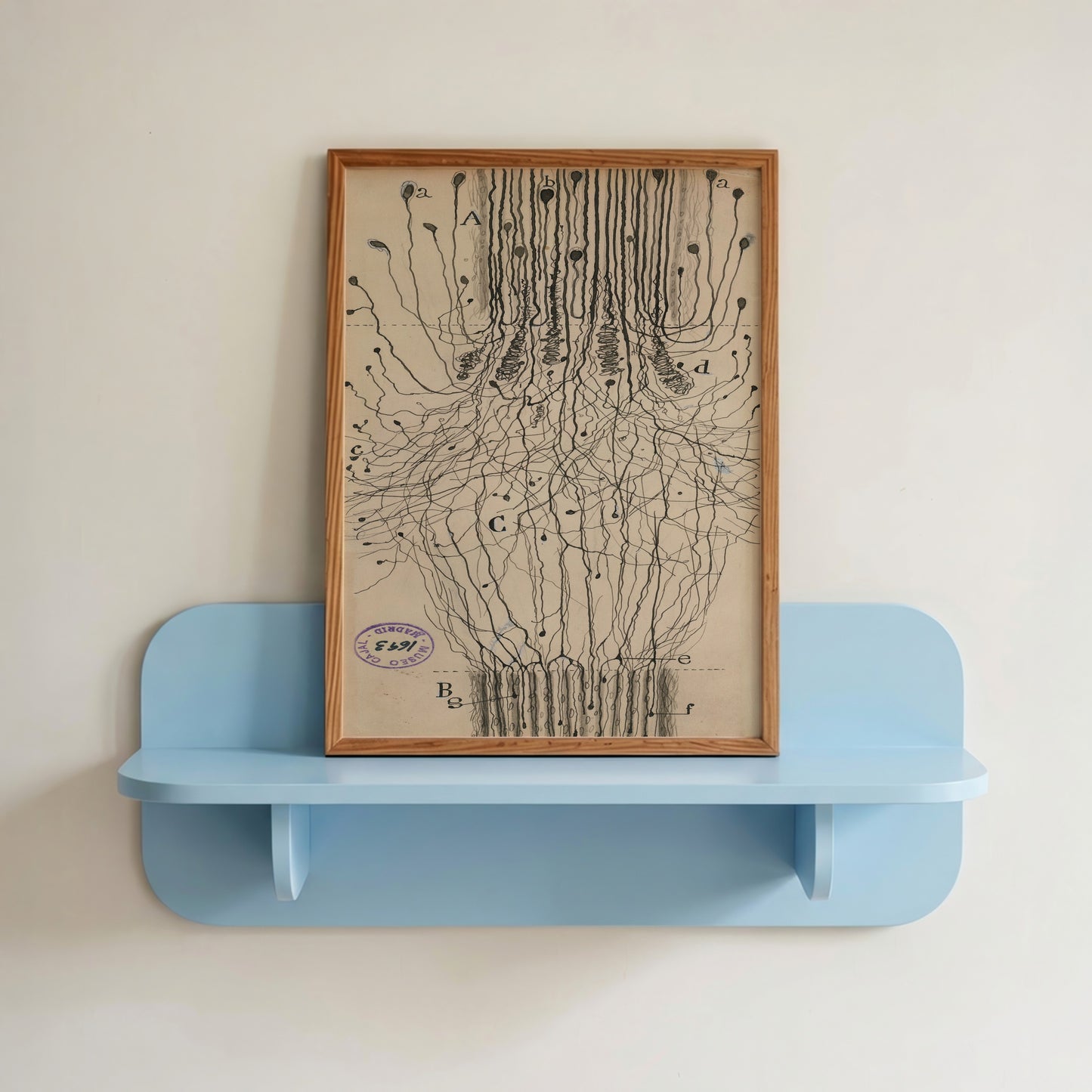 Neuron Drawing