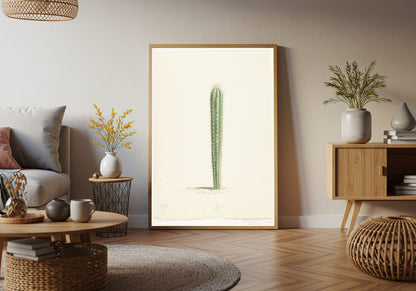 Cactus Botanical