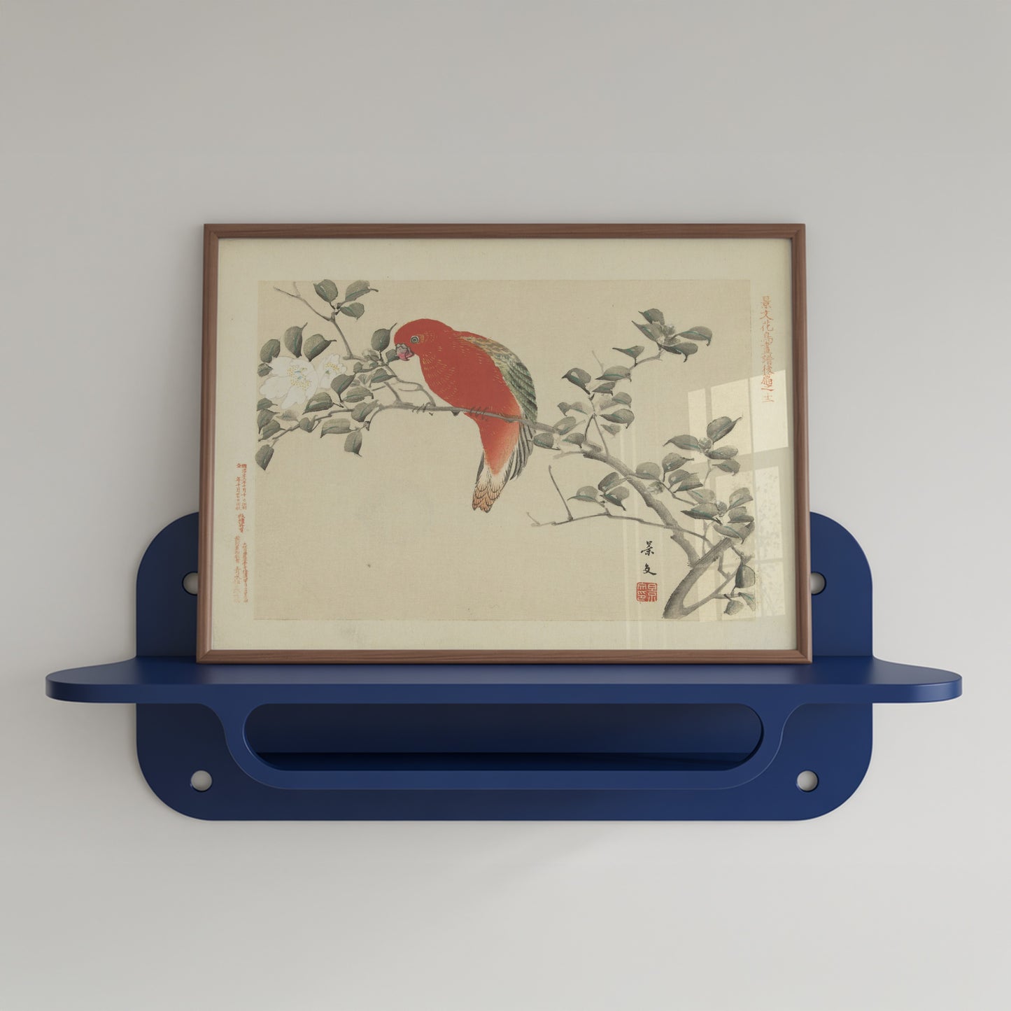 Red Parrot