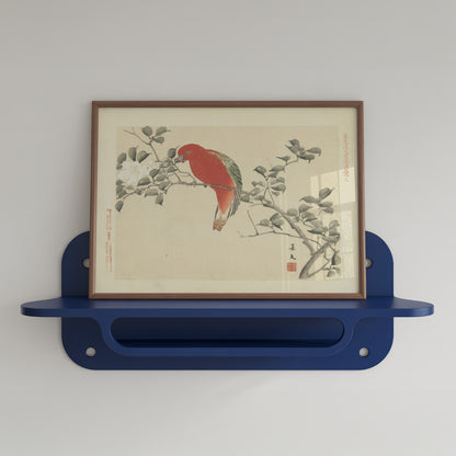 Red Parrot