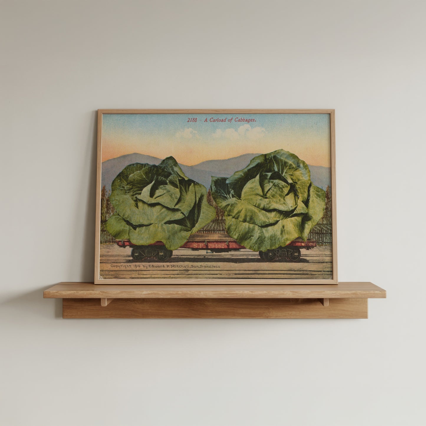 Cabbage Train