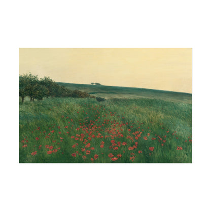 Vibrant red poppies in a green landscape under soft daylight.