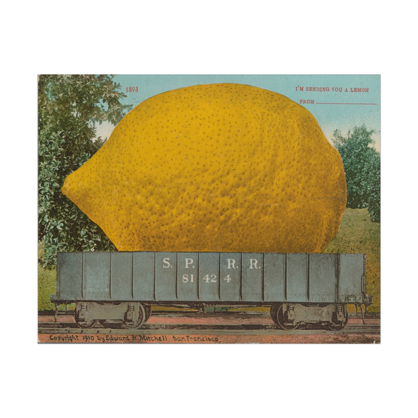 Lemon Postcard 14″×11″