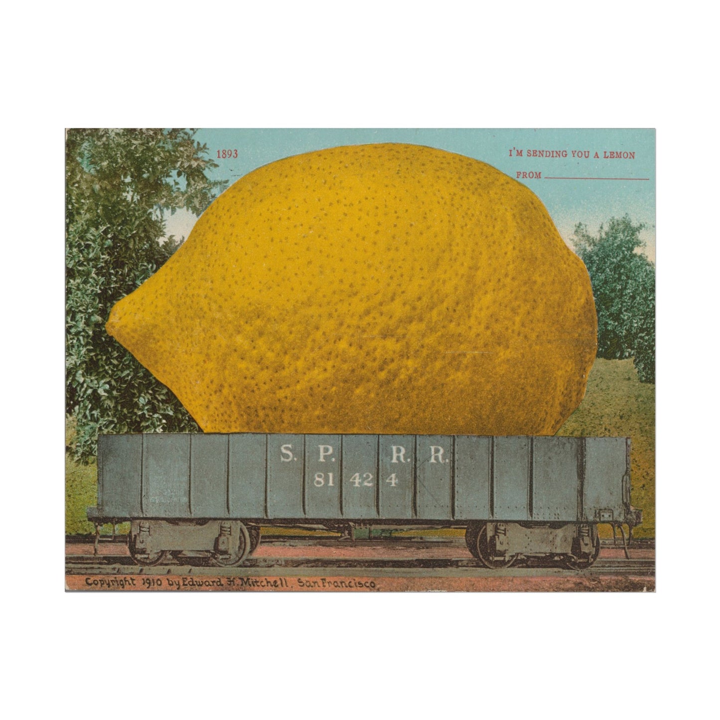 Lemon Postcard