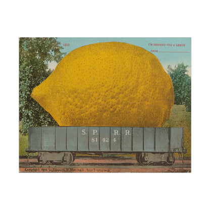 Lemon Postcard