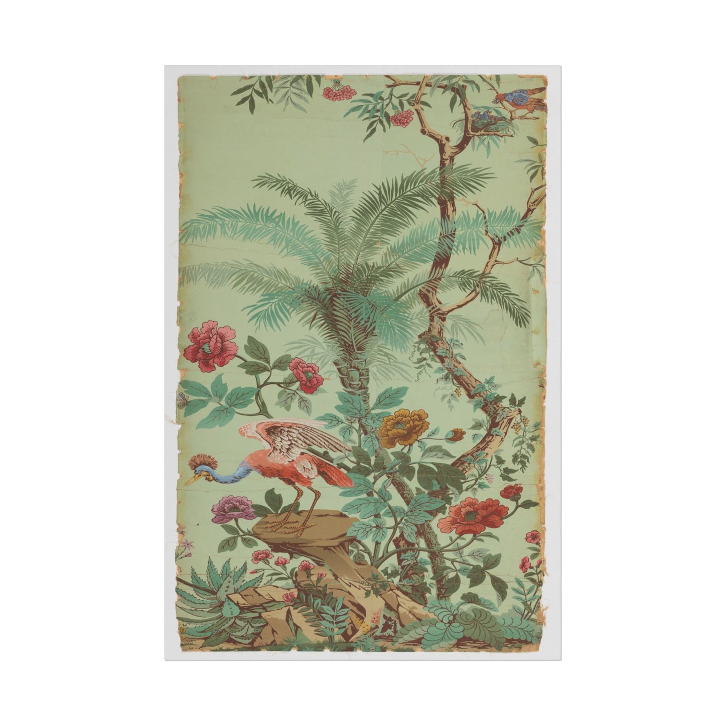 Tropical Bird Paradise