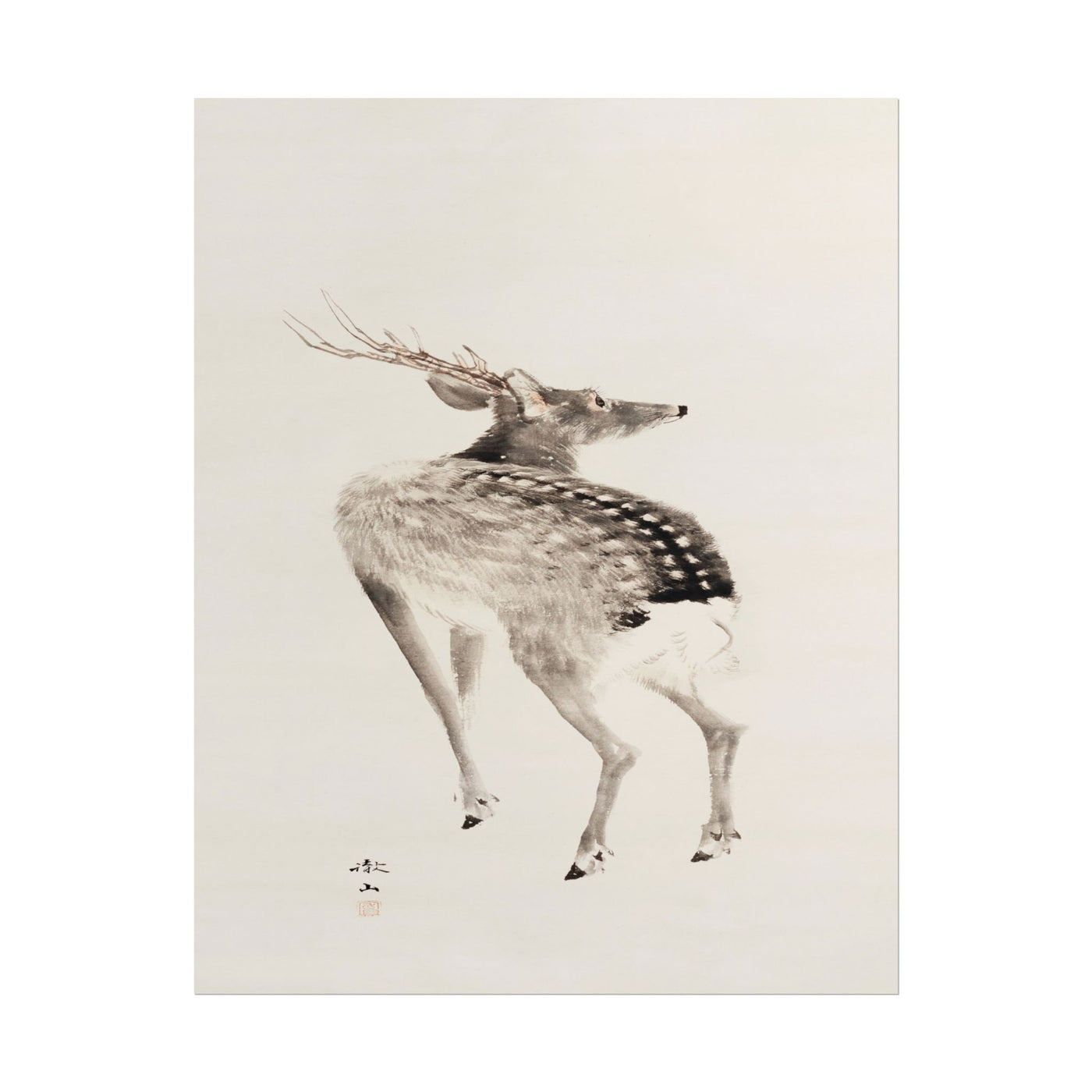 Japanese Stag 11″×14″