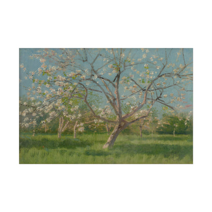 Study of Blooming Trees