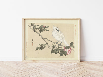 Elegant White Bird Art Print
