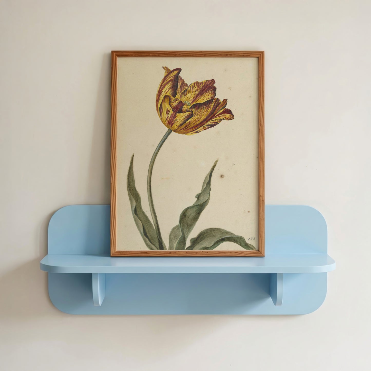 Yellow-Orange Tulip