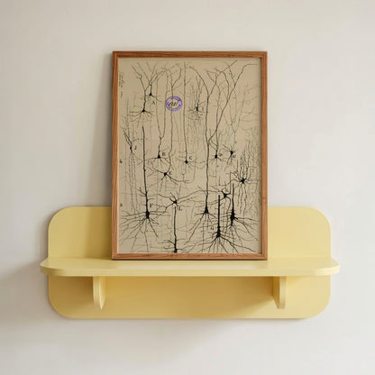 Neuron Drawing