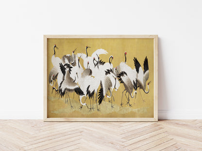 Flock of Cranes