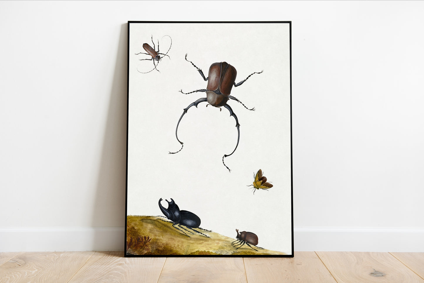 Beetles and Stink Bug