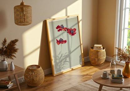 Three Studies of Poppies