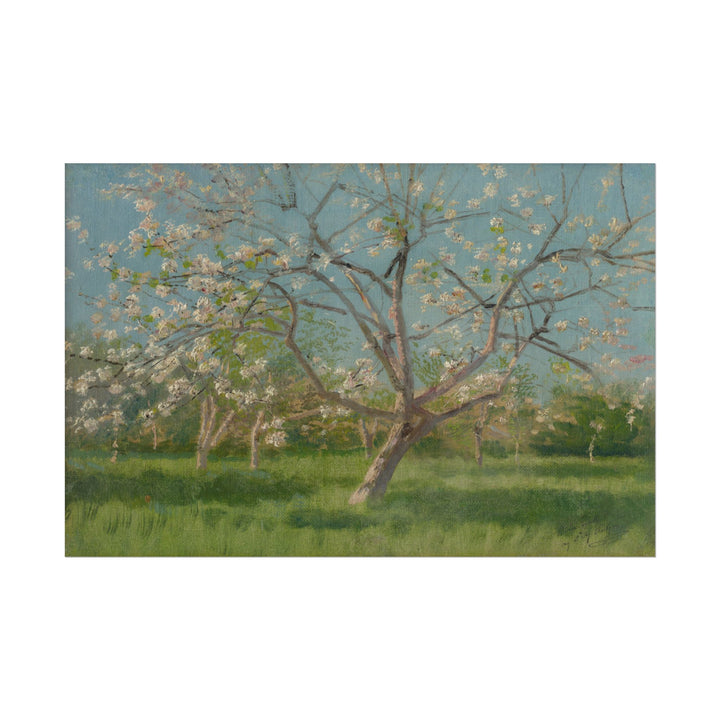 Beautiful blooming trees with a serene blue sky and green grass.