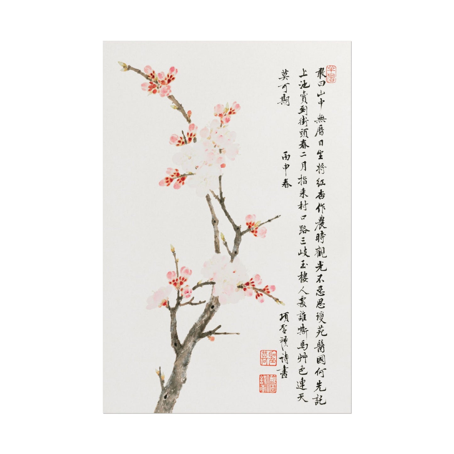 Delicate cherry blossoms painting by Xiang Shengmo on white background.
