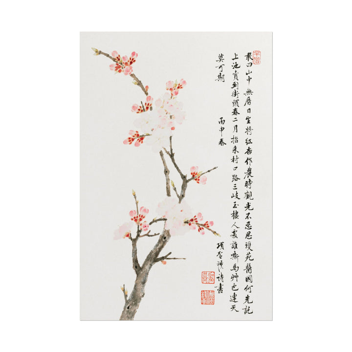 Delicate cherry blossoms painting by Xiang Shengmo on white background.