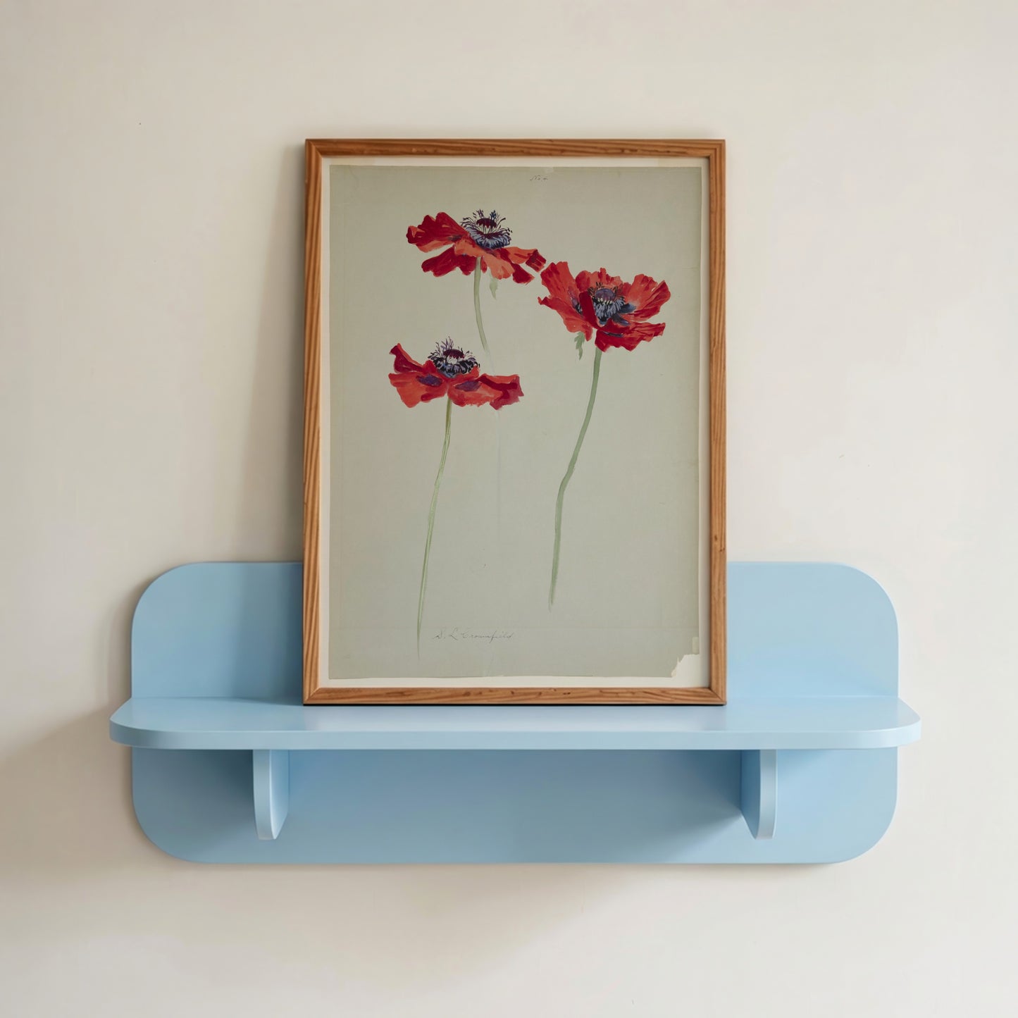 Three Studies of Poppies