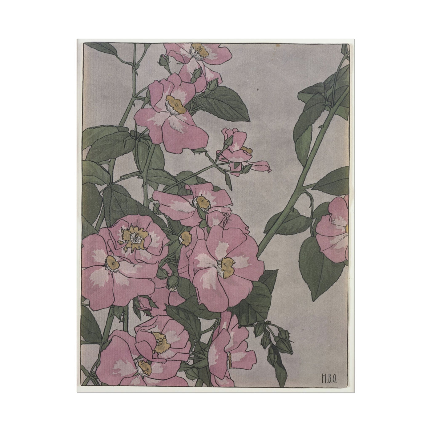 Prairie Rose 11″×14″
