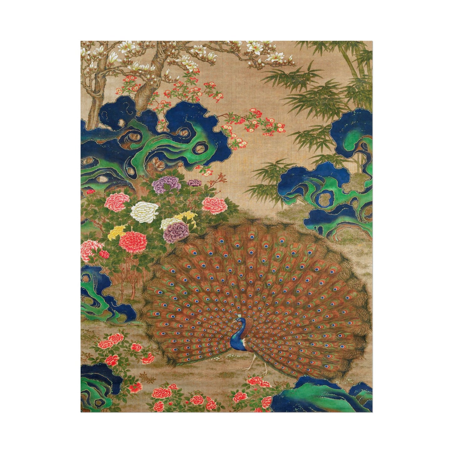Chinese Peacock and Flowers